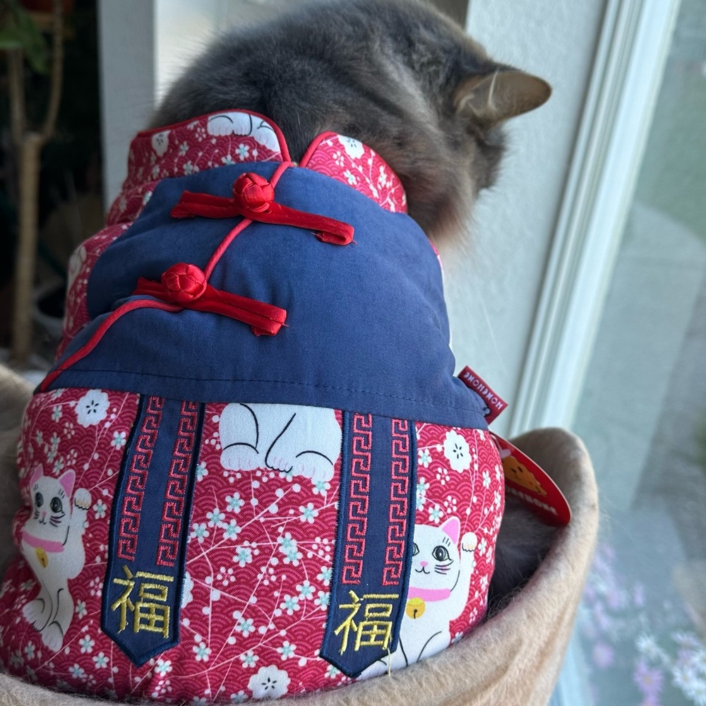 Stylish Red and Blue Cat Kimono